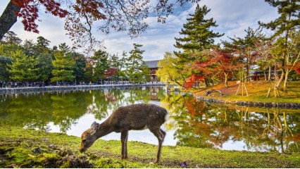 KYOTO