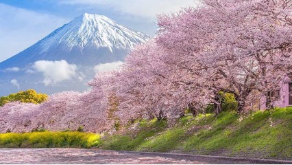 KANAZAWA - SHIRAKAWAGO - TAKAYAMA - GERO